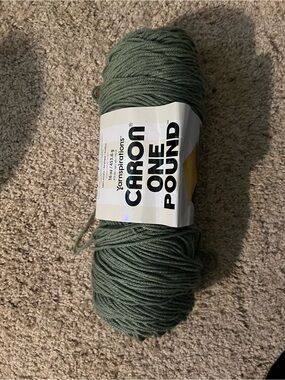 Caron One Pound Yarn - Succulent